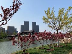 -西海子公园