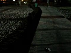 -仰口沙滩