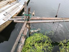 -君豪蟹都·湖景·农家乐(蟹舫苑店)