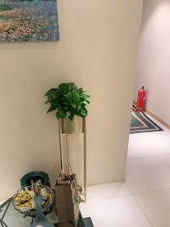 -薇兰专业脱毛连锁机构