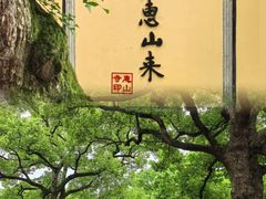 -惠山古镇·寄畅园