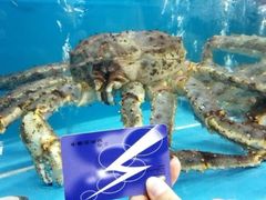 外高桥进口商品直销中心(自贸区店)-外高桥超市