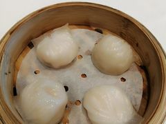 -粤式早茶希朋喜宴