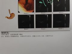-上海市第四人民医院
