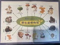 -菌彩云南野生菌火锅(呈贡七彩云南第壹城店)