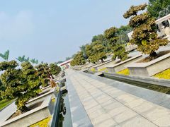 -石家庄市植物园