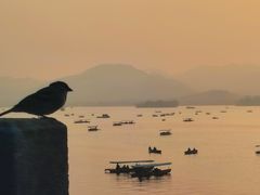 -湖畔居茶楼(湖滨店)