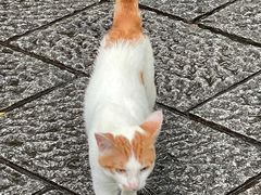 -城隍阁