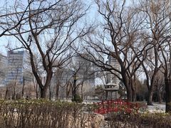 -玲珑塔公园