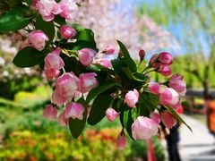 -元大都城垣遗址公园