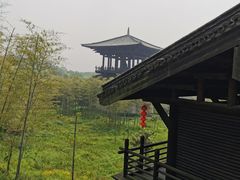 -大唐贡茶院