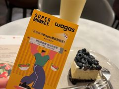 -Wagas沃歌斯(汇智店)