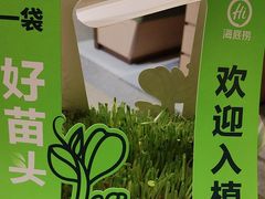 -海底捞火锅(高科东路店)