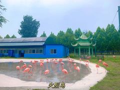 -秦皇岛野生动物园