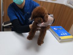 -宠福鑫动物医院·动物疾病诊疗中心(天通苑店)
