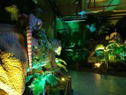 -恐龙探索乐园(磁器口店)