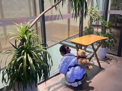 -京坛汇·烤鸭·京菜(宋庄店)
