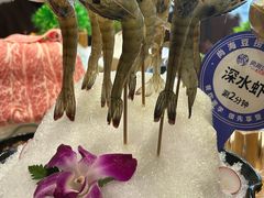 -尚海豆捞(乐虹坊店)