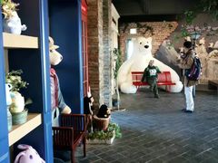 -济州岛泰迪熊博物馆