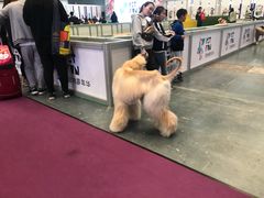 -东浩兰生上海世博展览馆