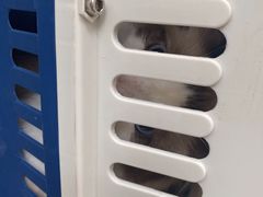 -安安宠医·安宠宠物医院