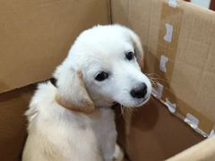 -艾贝尔宠物医院·24H转诊中心·肿瘤猫专科(江宁双龙店)