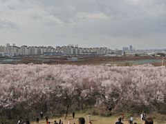 -明秦王墓遗址
