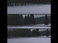 -武陵山森林公园