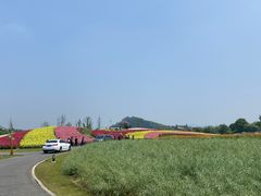 -径山花海