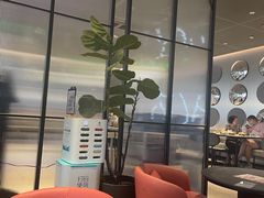 -必胜客(八一店)