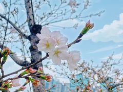 -西北湖绿化广场