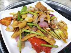 -东山羊庄(八卦岭店)