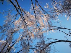 -中旅松花湖滑雪场