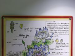 -上海昆虫博物馆