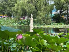 -北陵公园