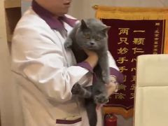 -宠爱国际动物医院·消化内科·心肾内科·ISFM猫友好(望京店)