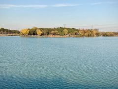 -昆山城市生态森林公园