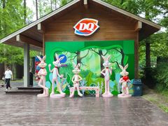 -黄海国家森林公园