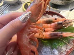 -Mr.Fish鱼鲜生海鲜放题(高德置地冬广场店)