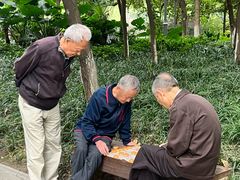 -成都市活水公园