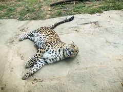 -杭州野生动物世界