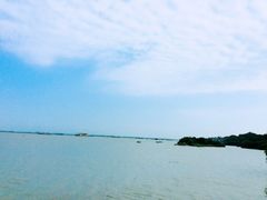 -湖南东洞庭湖国家级自然保护区