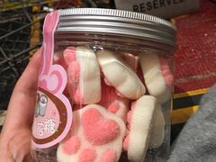 -猫咪博物馆(顶澳仔猫街店)