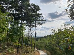 -沈阳辉山风景区