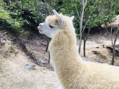 -汕尾铜鼎山旅游区