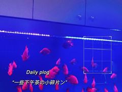 -宫七SPA·高端Massage(浦东大道店)