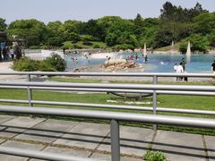 -上海月湖雕塑公园