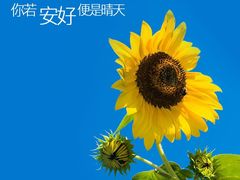 -三才二真·药膳养生炖汤(海珠湾店)