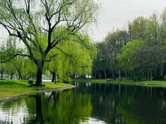 -上海共青森林公园