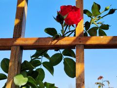 -祥源·阜阳生态乐园